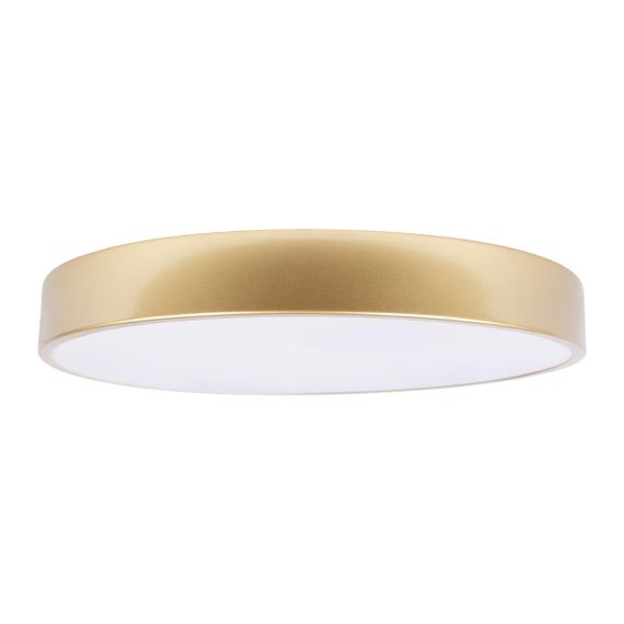 Потолочный светодиодный светильник Loft IT Flims 10228/A