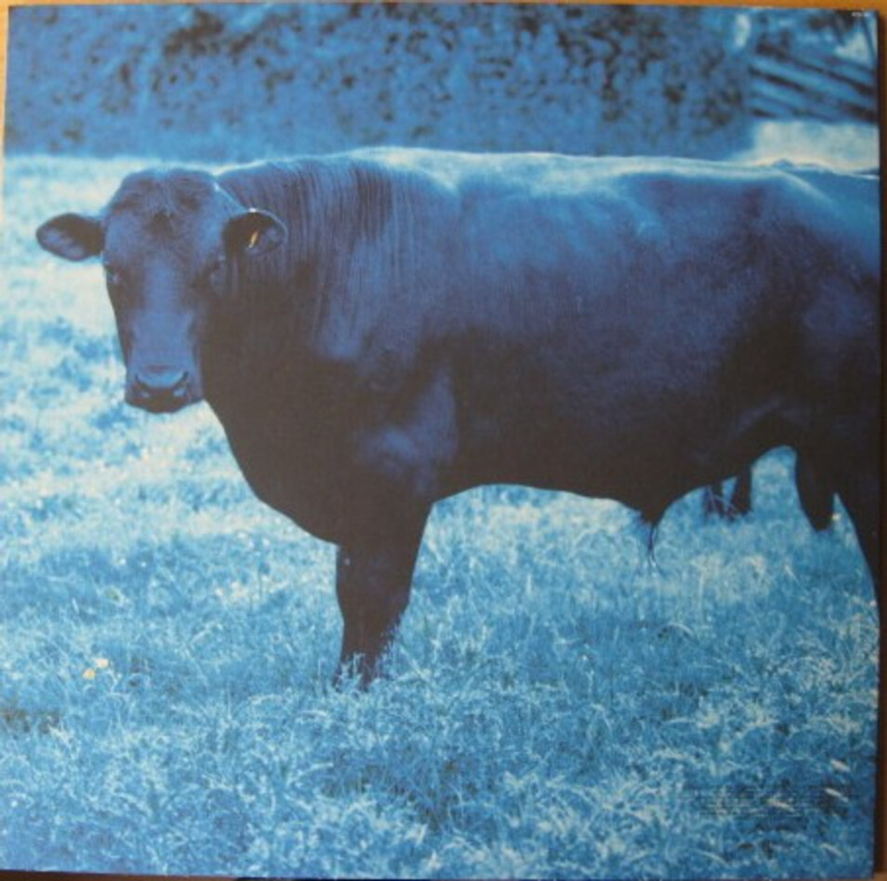 U2 / Achtung Baby (20th Anniversary Edition)(Limited Edition)(2LP+2x12" Vinyl Single)