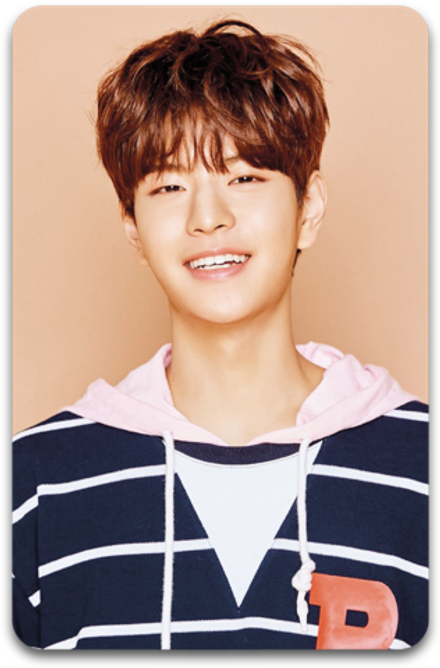 Карта / STRAY KIDS #3040