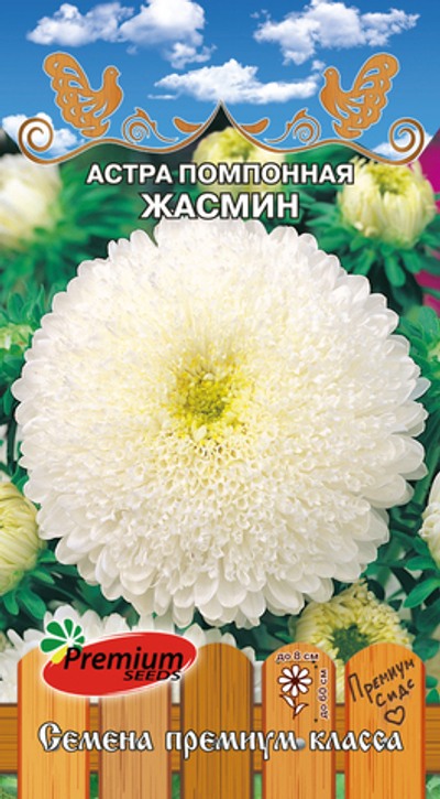Астра помпонная Жасмин