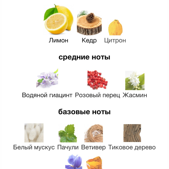 CHANEL Chance Eau Fraiche