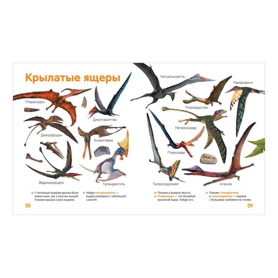 Динозавры. Твоя первая фотокнига