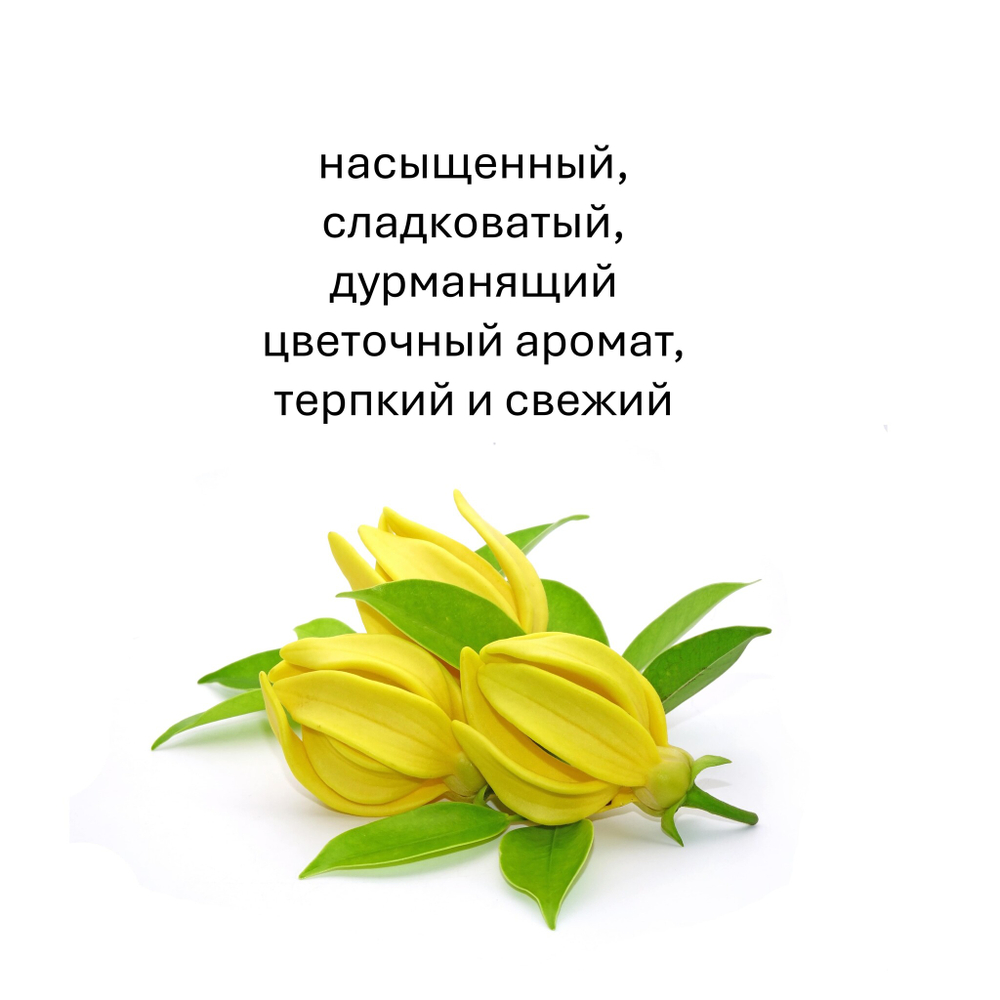 Иланг-Иланг, кубики восковые для ароматизации, 10 штук