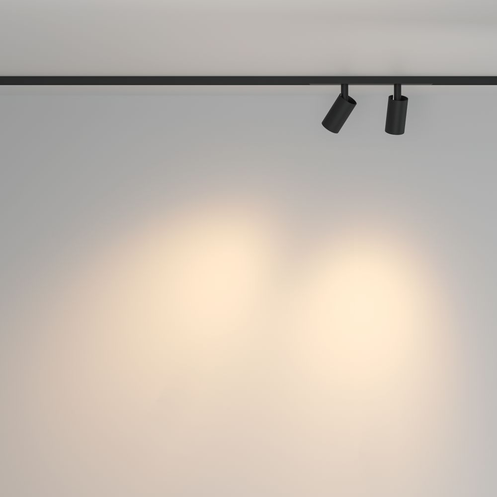 Трековый магнитный светодиодный светильник Maytoni Basity   TR176-1-2X5WTW-M-B