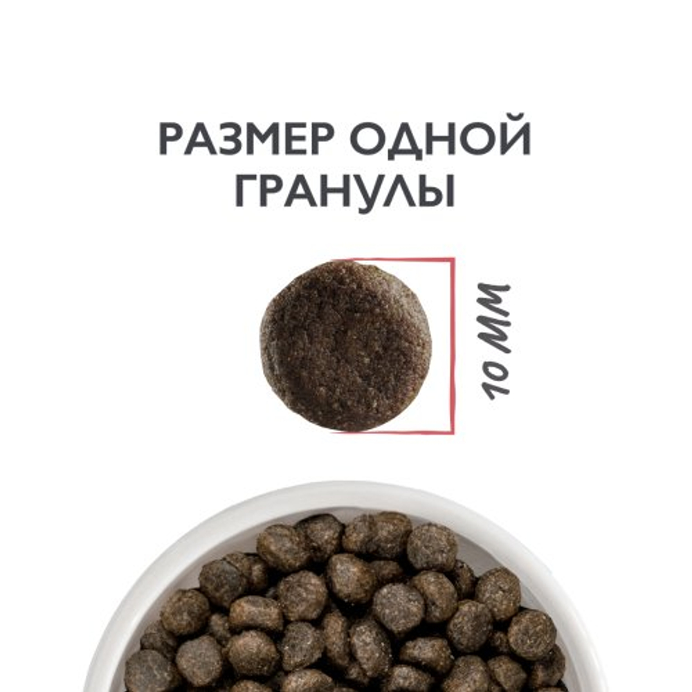 Сухой корм для взрослых домашних кошек с лососем и индейкой Cat Indoor Stool Odour Reduction BRIT CARE 0,4кг