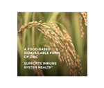 Solgar Earth Source Food Ферментированный цинк коджи 25 мг, 60 растительных капсул — биодоступный цинк с более высокой абсорбцией для иммунитета и здоровья кожи — без ГМО, веганский, без глютена, без молочных продуктов, кошерный