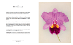 RHS Orchids