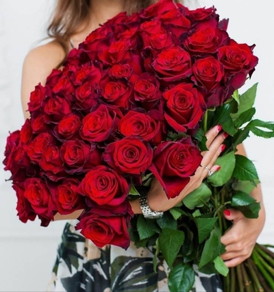 Роза экспловер 70-80 см