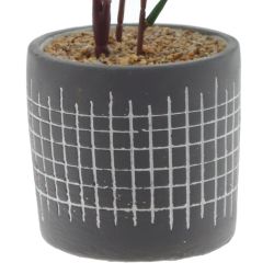 GAEM Цветочная композиция "Папоротник", L11 W11 H59 см