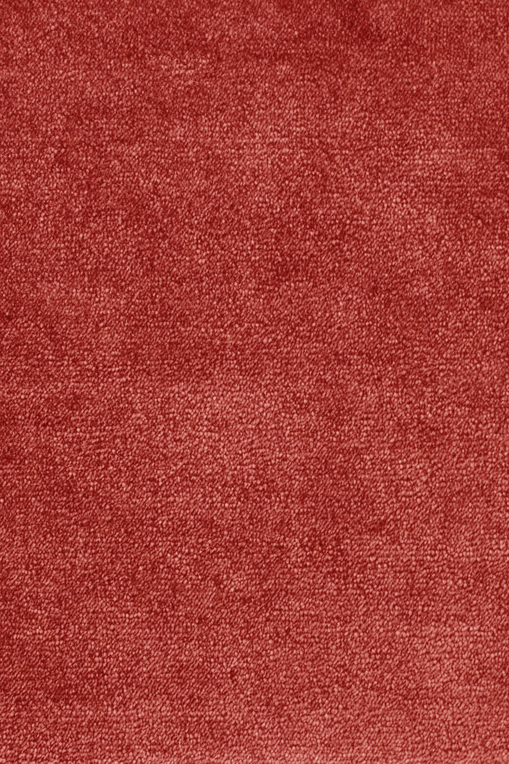 Ковровое покрытие AW The Velvet Collection Omphale 10