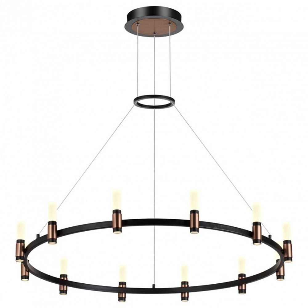 Подвесная люстра Odeon Light 5009/48L