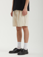 Мужские Шорты Foster Stripe