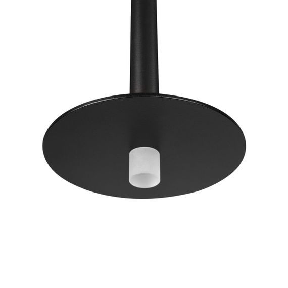 Подвесной светодиодный светильник Loft IT Reed 10358/830 Disk