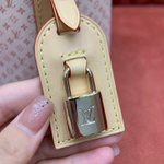 Louis Vuitton All In BB Bag