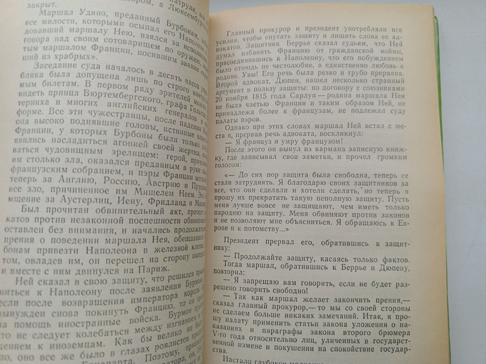 Тайна Наполеона. Книга 4 (Мученик англичан. Наследник великой Франции)