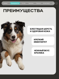 Корм сухой для собак средних и крупных пород, здоровье кожи и шерсти, с кроликом, 3 кг, QUATTRO