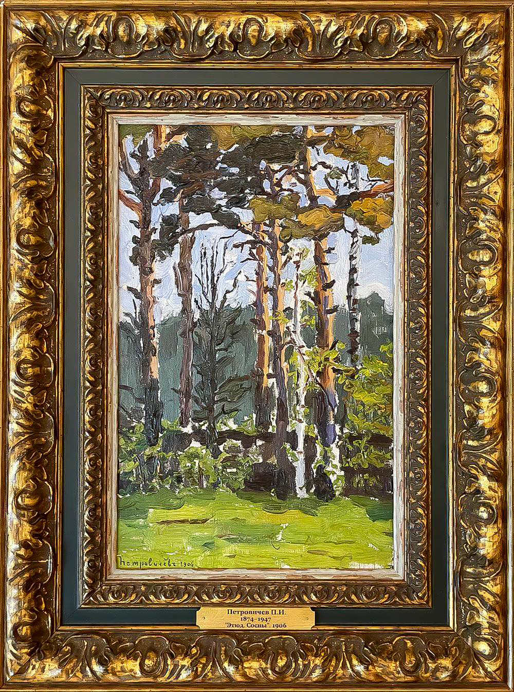 Петровичев Пётр Иванович (1879 - 1947 гг.). Сосновый лес. 1906 г. Холст на картоне, масло