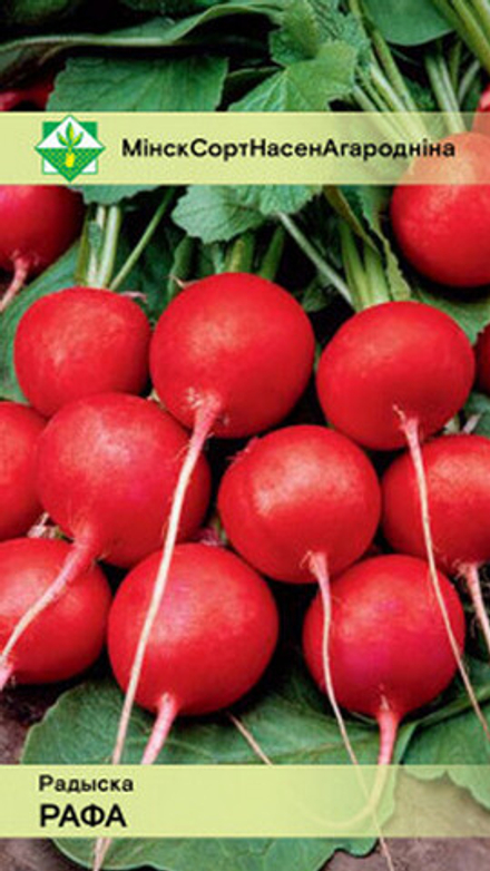 Редис "Рафа" 2г, Польша.