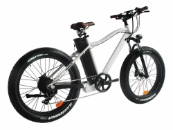 Электрофэтбайк Hoverbot FB-2 PRO FATBIKE