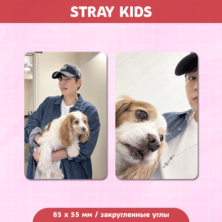 Сет карточек / STRAY KIDS #30 Сынмин