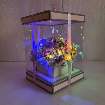 Светящийся букет Радужная гипсофила в подарочной коробке 16х23