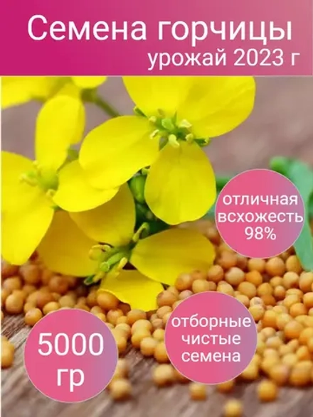 Семена горчицы сидерат 5 кг