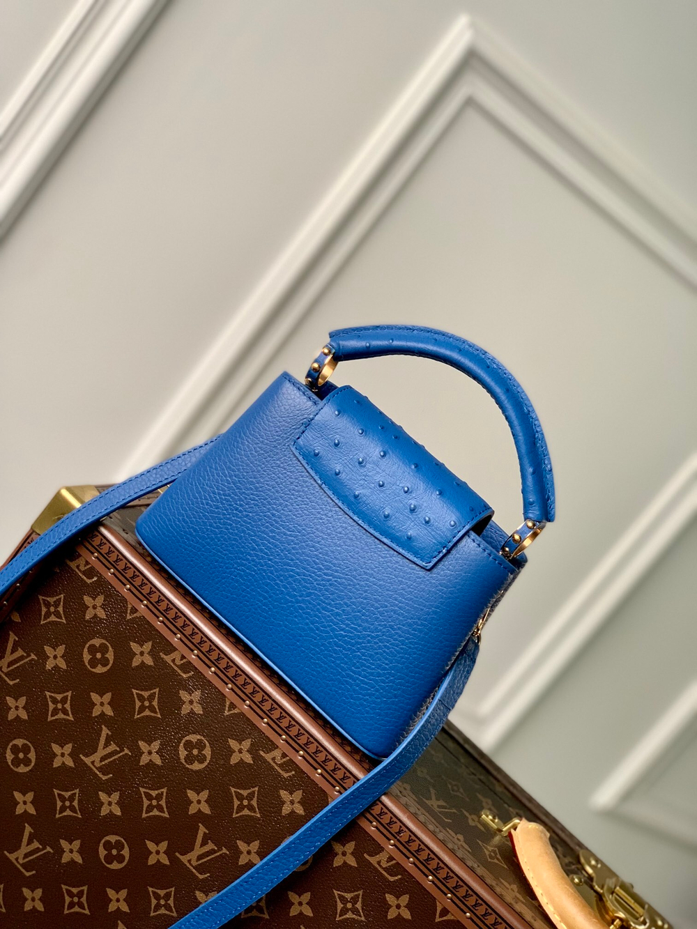 Louis Vuitton Capucines Mini