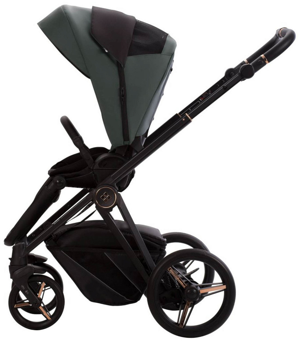 Детская коляска Bebetto Monti Pro 2 в 1 02 Stella т.зеленая кожа