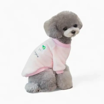 Толстовка «Пудель»