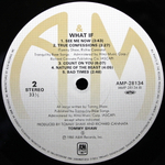 Tommy Shaw / What If (LP)