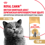 Сухой корм Royal Canin British Shorthair Adult для взрослых британских короткошерстных кошек 10кг