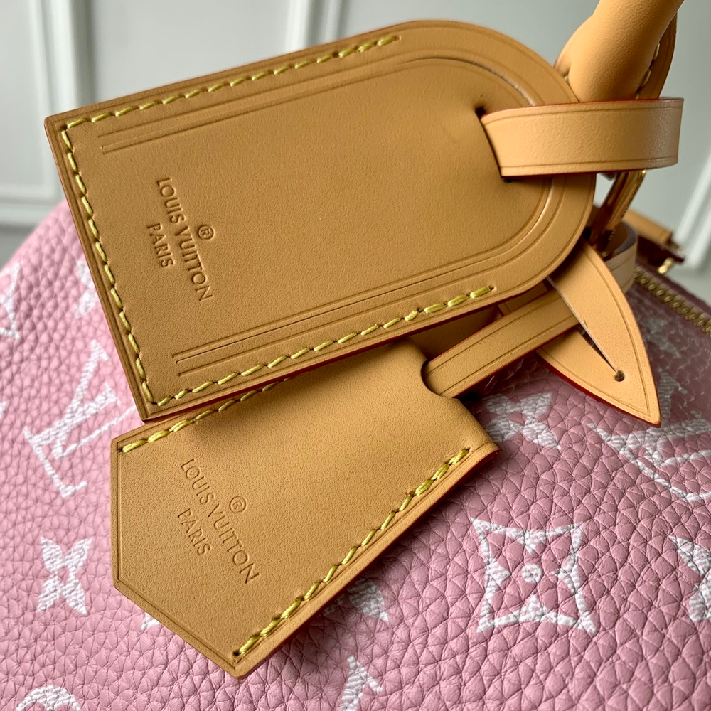 Louis Vuitton Speedy P9 Bandouliere 25