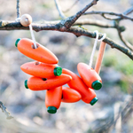 Шнуровка Морковки Леснушки УЦ