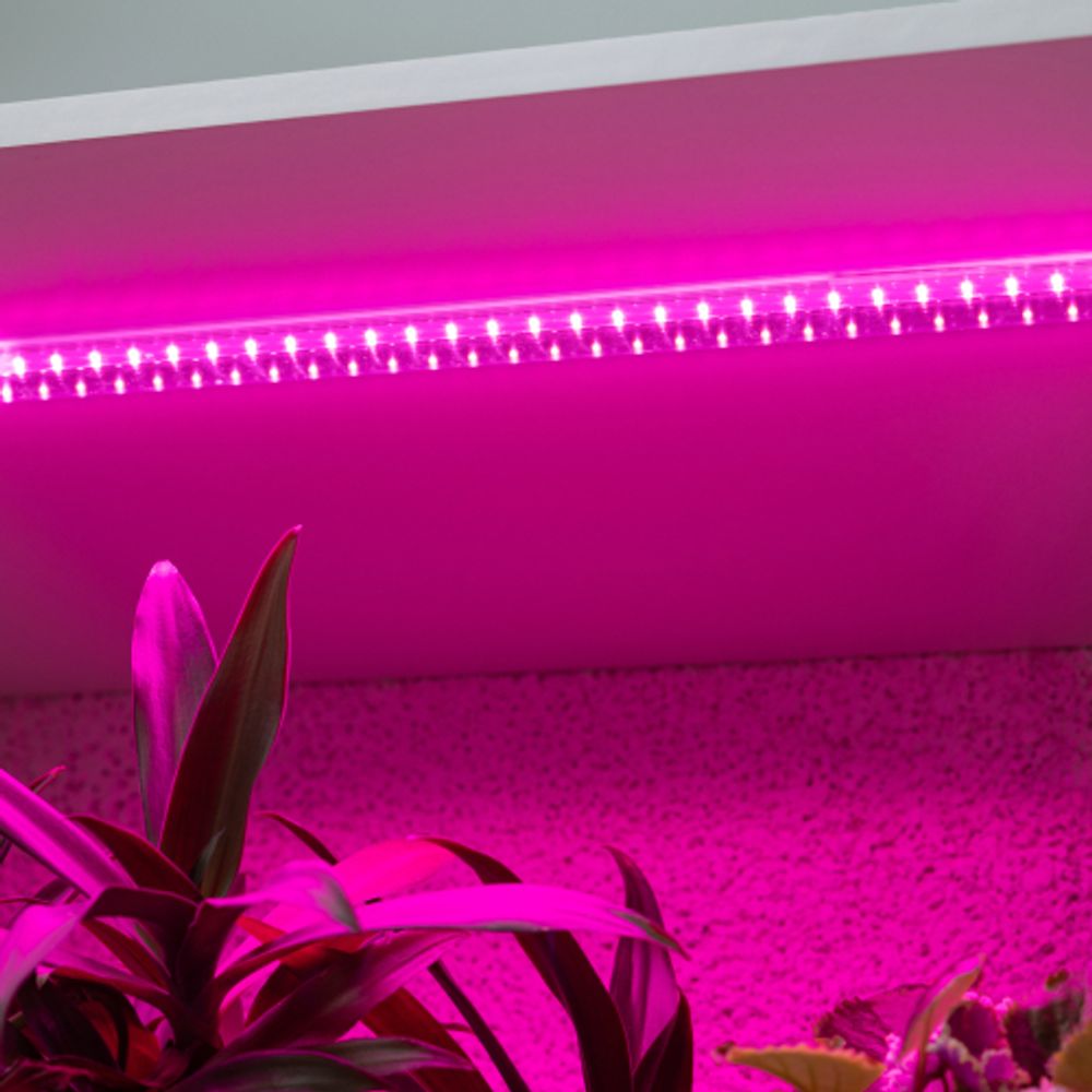 Светильник для растений, фитолампа светодиодная линейная ЭРА FITO-10W-Т5-RB-Slim красно-синего спектра 10 Вт Т5