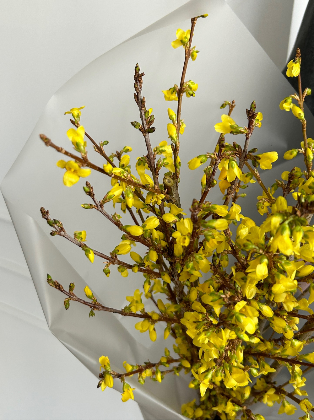 Букет с цветущей форзицией