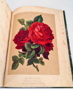 "Nestel`s Rosengarten. [  Сад роз Нестела]". E. Schweizerbartsche Verlagshandlung. 1869г.