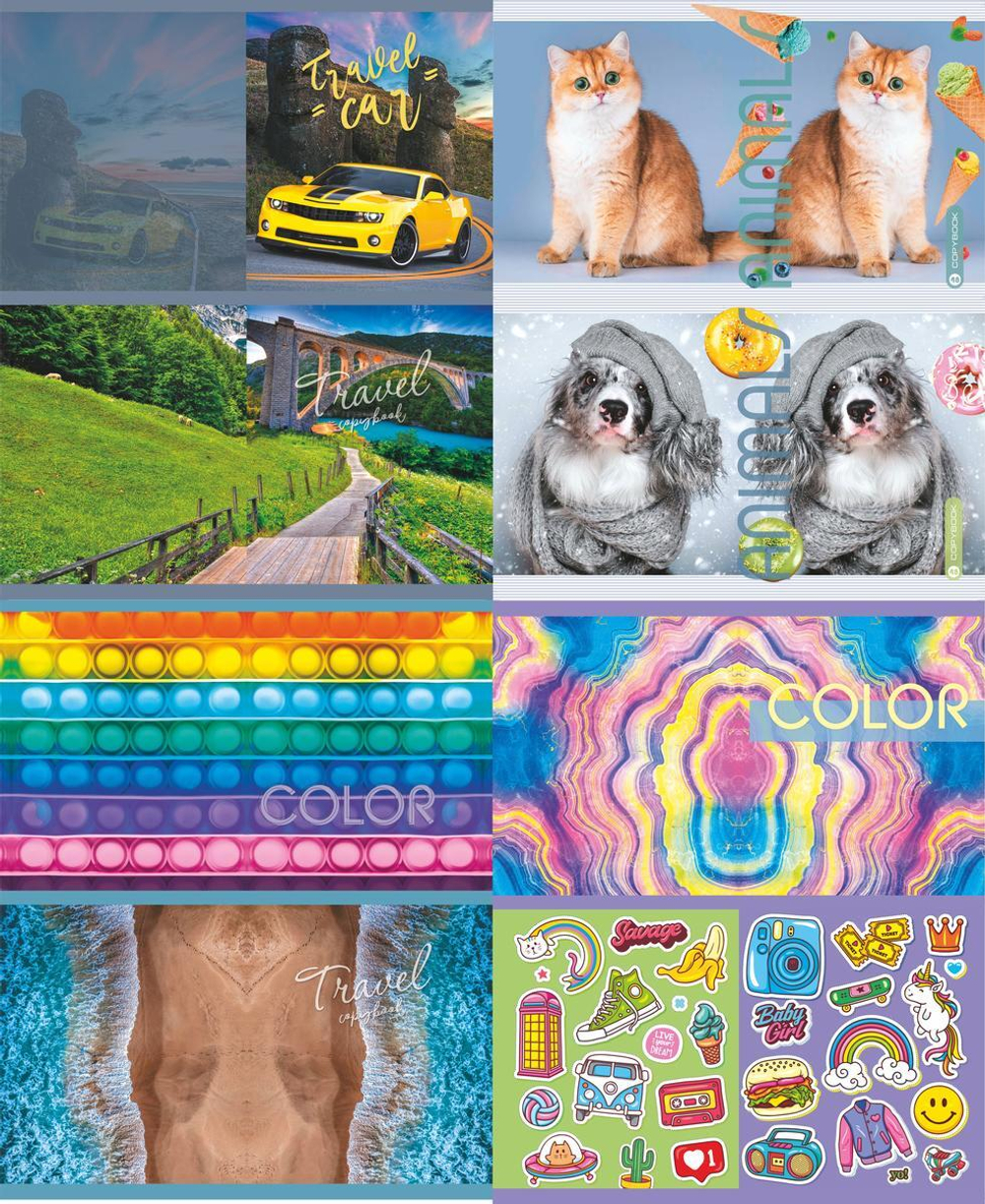 Тетрадь школьная А5 48л. клетка, офсет №1(обложка картон) в ассорт.(92%) (КПК)