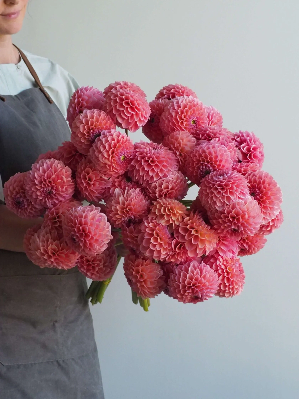 Георгин Linda's Baby (корень) Закупка М55 апрель 2026