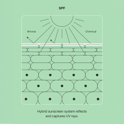 Clinique Even Better Vitamin Makeup - Тональная основа в жидкой текстуре SPF 50 оттенок Light Medium Cool 5, 30 ml