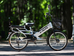 Электровелосипед Green City e-ALFA L с кофром
