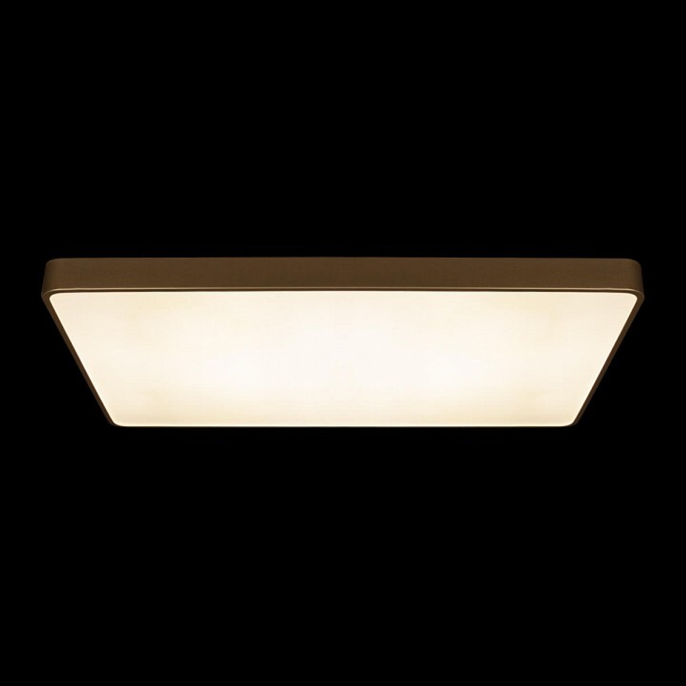 Накладной светильник Loft it Flims 10228/E