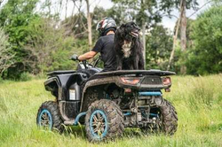 Квадроцикл SEGWAY Snarler AT6 SX (ПСМ)