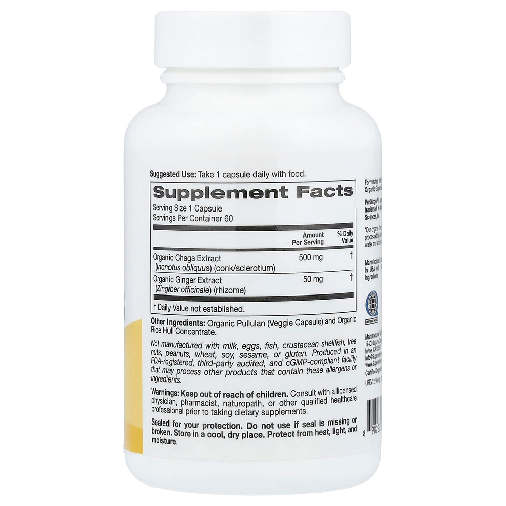 Super Nutrition, органический гриб чага с имбирём, 60 вегетарианских капсул