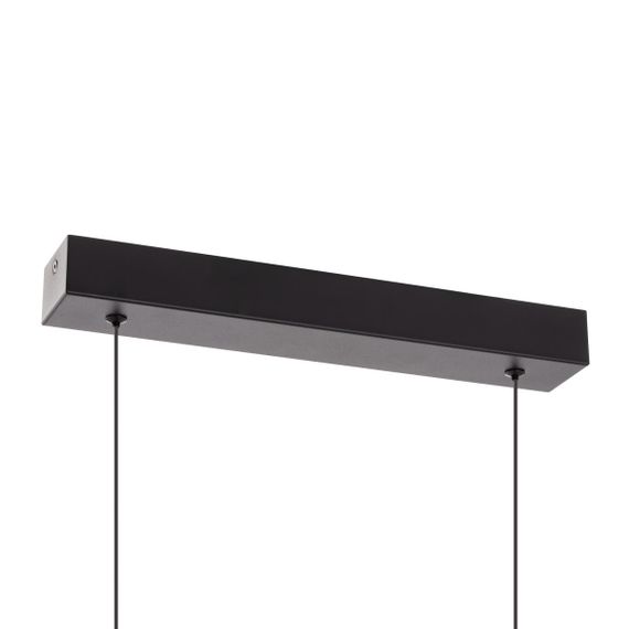 Подвесная люстра Citilux Glob CL209131