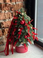 Елка из нобилиса