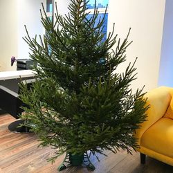 Фотогалерея