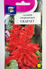 Сальвия Сверкающая Скарлет 0,1 г СМЦ-754
