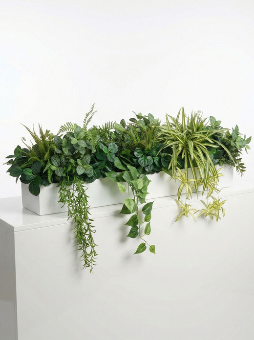 Растения для офиса в длинном кашпо