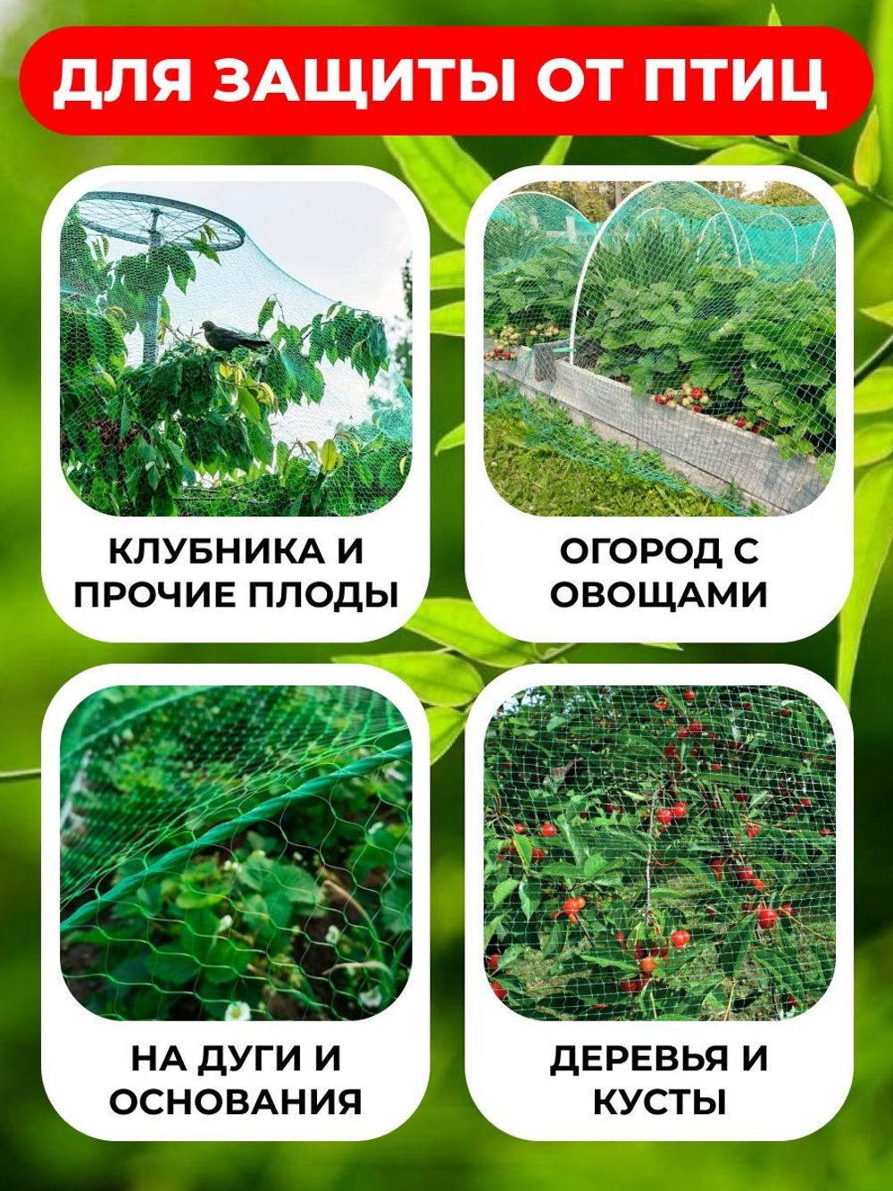 Сетка от птиц для защиты урожая 2х5 м (10 м2), на плодовые деревья кустарники грядки