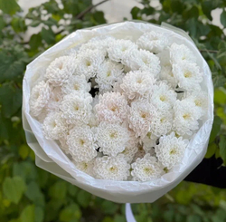 Букет цветов Облако М